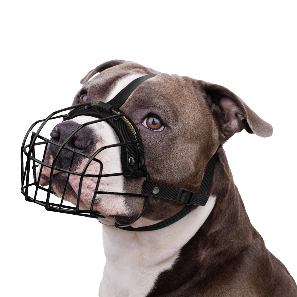 BRONZEDOG Pitbull Dog Muzzle Breathable Metal Basket for Large Dogs Amstaff Staffordshire Terrier Biting Chewing Barking (Nylon, Black) Nylon