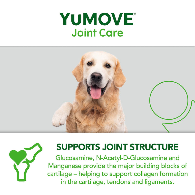 YuMOVE Senior Dog | High Strength Joint Supplement for Older, Stiff Dogs with Glucosamine, Chondroitin, Green Lipped Mussel | Aged 9+ | 120 Tablets,Package may vary - PawsPlanet Australia