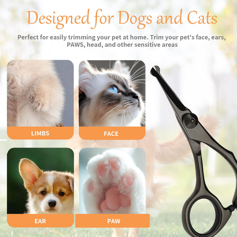 Dog Scissors for Care of Face and Paws, Ears and Eyes, Length 5.3 Inch Cat, Safety Round Tip Grooming Scissors, Titanium Coated Stainless Steel Fur Titanium - Scissors for Face/Legs/Ears