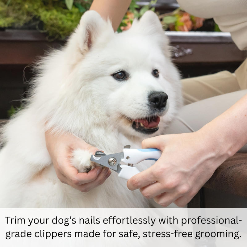 AIXINPET Dog & Cat Nail Clippers and Trimmers - with Free Nail File, Protective Guard to Avoid Over Cutting, Extra Sharp Blade - Suitable for Small to Large Dogs, Puppies, Birds and Rabbits (Large) - PawsPlanet Australia