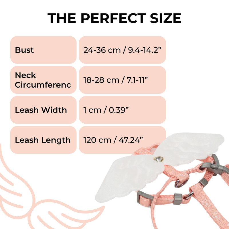 Angel Wings Pet Harness and Leash Set for Dogs & Cats, Adjustable I-Shaped Chest Strap, Padded Anti-Break Rope - PawsPlanet Australia