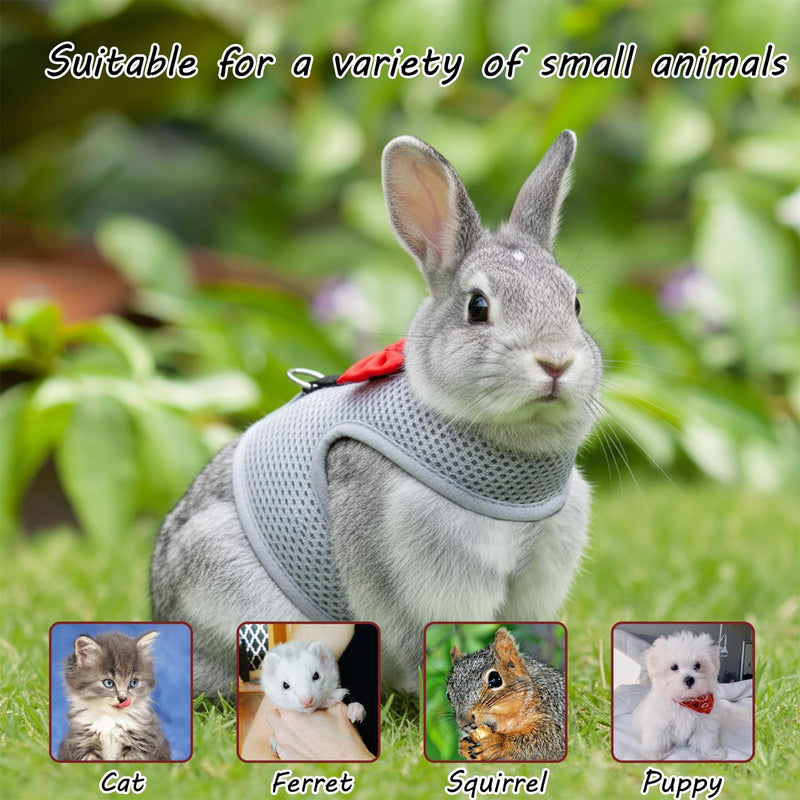 2 Set of Bunny Harness and Leash(Size M),Adjustable Bunny Leash for Small Pets. This Complete Rabbit Harness and Leash Set Features Soft Mesh Vests for Safe Outdoor Adventures.