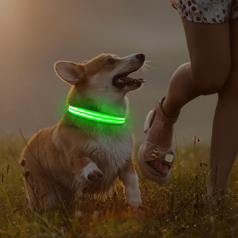 Illumifun Light Up Dog Collar, Rechargeable LED Dog Collar Glow in The Dark, High Visibility Collars Light for Pet Walking at Night (Green, Large) Green - PawsPlanet Australia