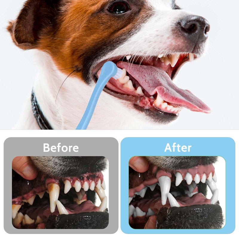 2 Pack Dog Toothbrush Cat Tooth Brush Pet Toothbrush Puppy Toothbrush Mini Head Soft Dog Toothbrush Deep Clean Kit for Puppy, Kitten, Small Dog & Cat, Portable Travel Friendly and Easy to Use Blue + Pink - PawsPlanet Australia