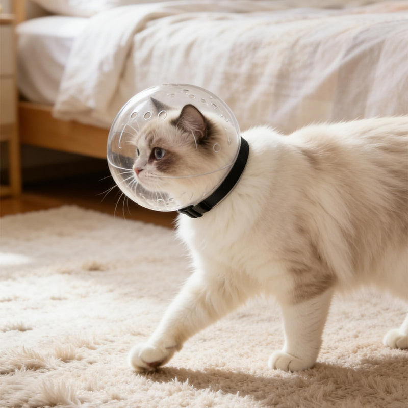 SEWACC Breathable Cat Head Protector White with Secure Protective Collar for Outdoor Cats Made of ABS with Ventilation Holes Easy to Use Random Style