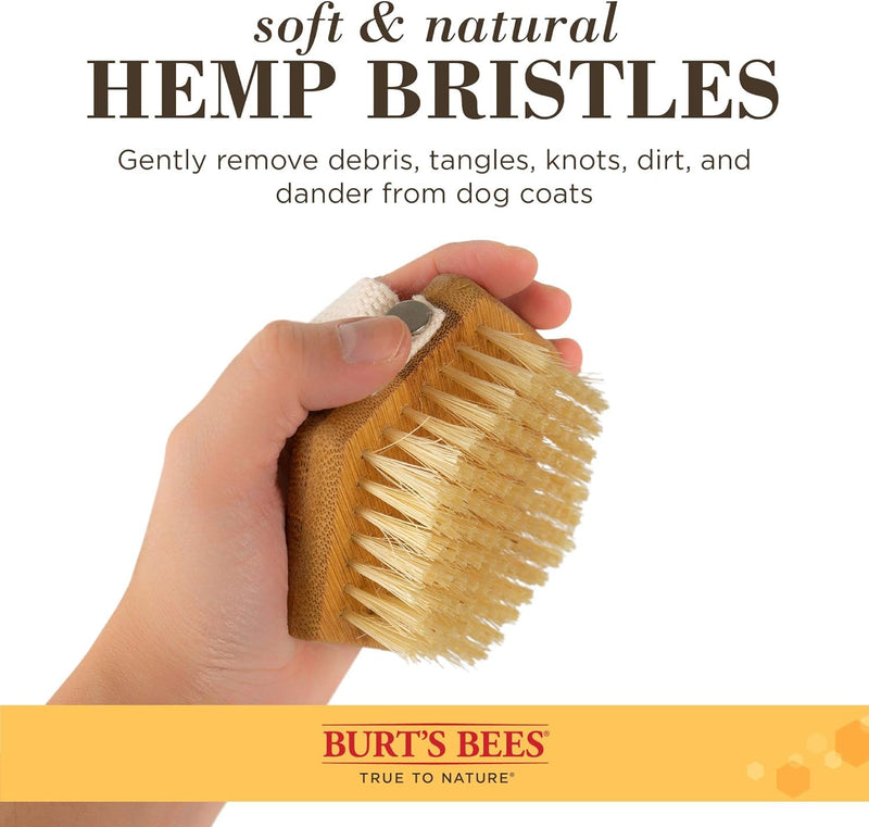 Burt's Bees for Pets Palm Brush with Hemp Bristles - Ergonomic Dog Brush To Groom Large Dogs - Easy to Hold Handle Reduces Stress On Your Wrist - Ideal for Daily Grooming - 2 Pack Brown 2 Count
