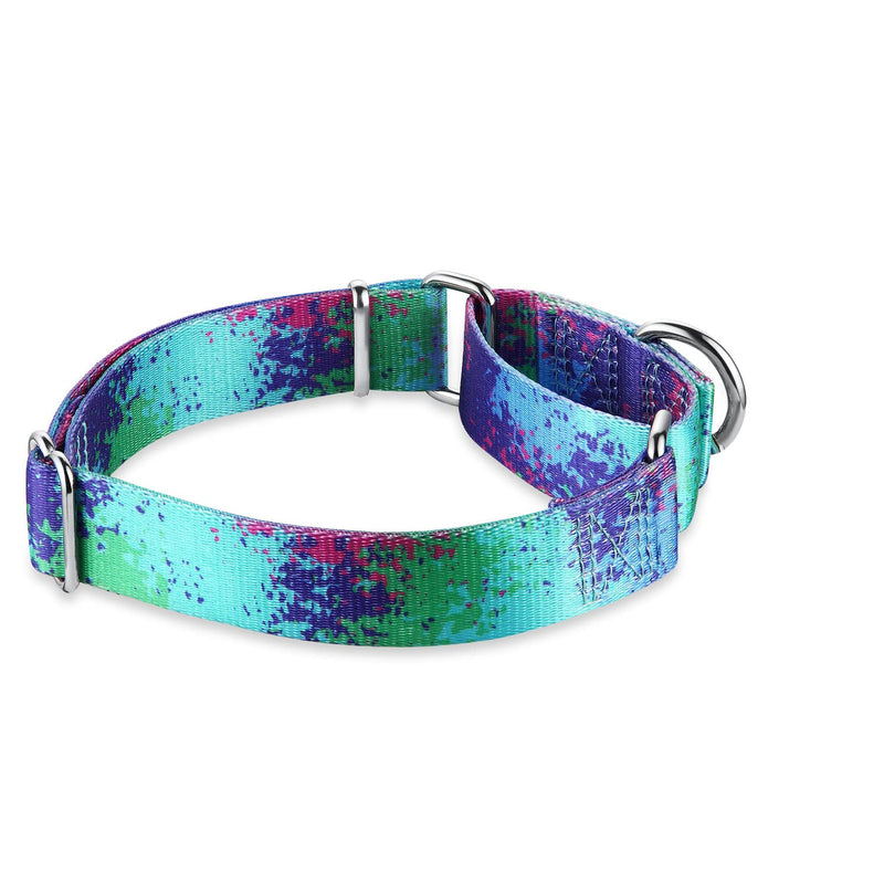 Martingale Dog Collar Escape-Proof for Training - No-Buckle, Durable Polyester Design for Medium Breeds (Ecological Oasis, M) M: 1" Width (14"-21") Ecology Oasis - PawsPlanet Australia