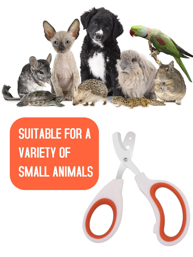Stainless Steel Bearded Dragon Nail Clippers,Lizard Nail Clippers,Bearded Dragon Supplies,Bearded Dragon Nail Scissors for Small Reptiles,Turtle,Chameleon,Iguana，Hedgehog（Orange） Orange - PawsPlanet Australia