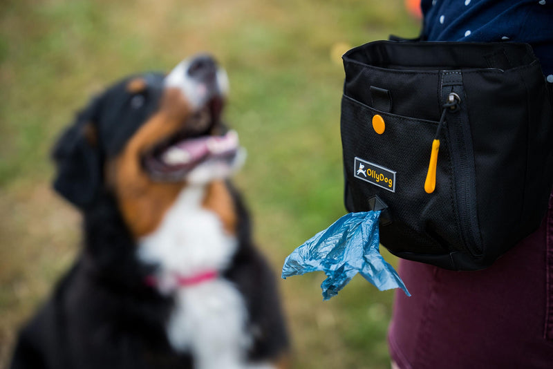 OllyDog Backcountry Day Bag, Fanny Pack, Dog Treat Pouch, Hands-Free for Training, Hip Pack with Built-in Poop Bag Dispenser, Removable Waist Belt Clip (Raven) Raven