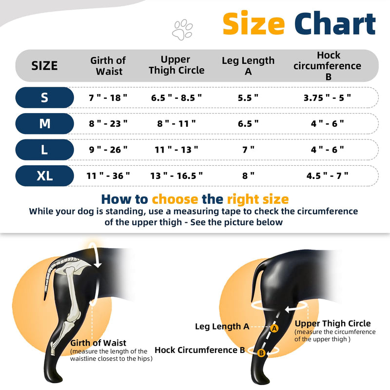 CHAMIN Adjustable Dog Knee Brace for Torn ACL Hind Leg, Support for Tear Ligament, Osteoarthritis, Rear Leg Limp, Recovery After Surgery,et(Right Leg,XL) Right Leg XL
