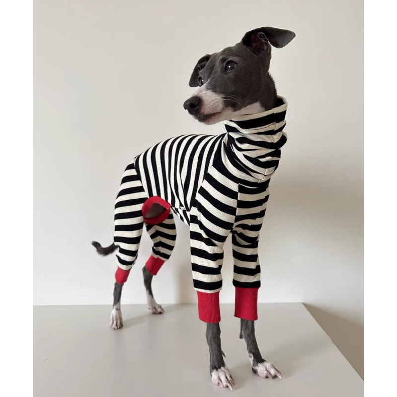 Italian Greyhound Onesie Clothes, Turtleneck Striped Shirt for Whippets Puppy, Light and Thin Shirt for Spring and Summer (Small) Small - PawsPlanet Australia