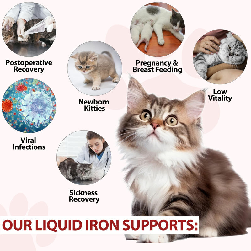 Liquid Iron Supplements for Cats,LiquiI Iron with Vitamin C and B12,Supports Anemia, Low Enery Levels and Lethargy,Promotes Blood Health, Helps with Formation of Red Blood Cell - PawsPlanet Australia