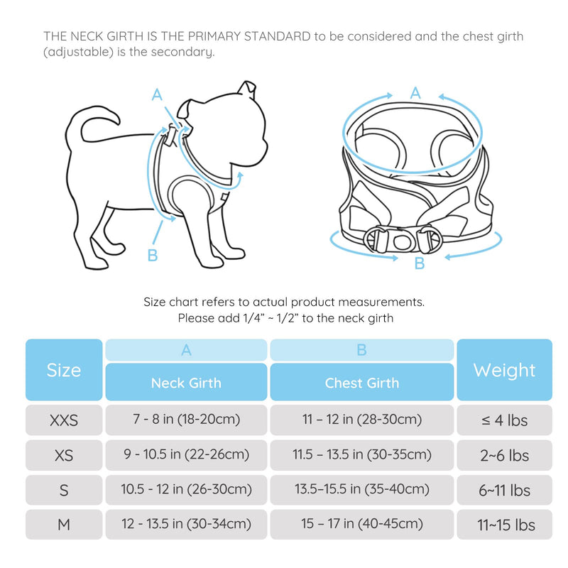 BELLA & PAL Step in Vest Harness for Small and Medium Dogs, No Pull Small Dog Harness with Leash Set, Comfortable Air Mesh Dog Vest Harness with Reflective Strip S Sky Blue - PawsPlanet Australia