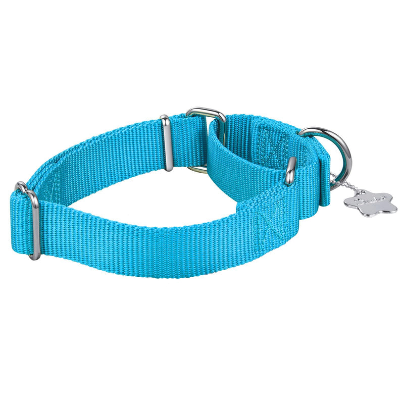 Martingale Dog Collar, No-Buckle Escape-Proof Design, Heavy-Duty Nylon and Welded D-Ring, Adjustable Training Collar for Medium Large Dogs (Turquoise, L) Large: 17" -25" Turquoise - PawsPlanet Australia