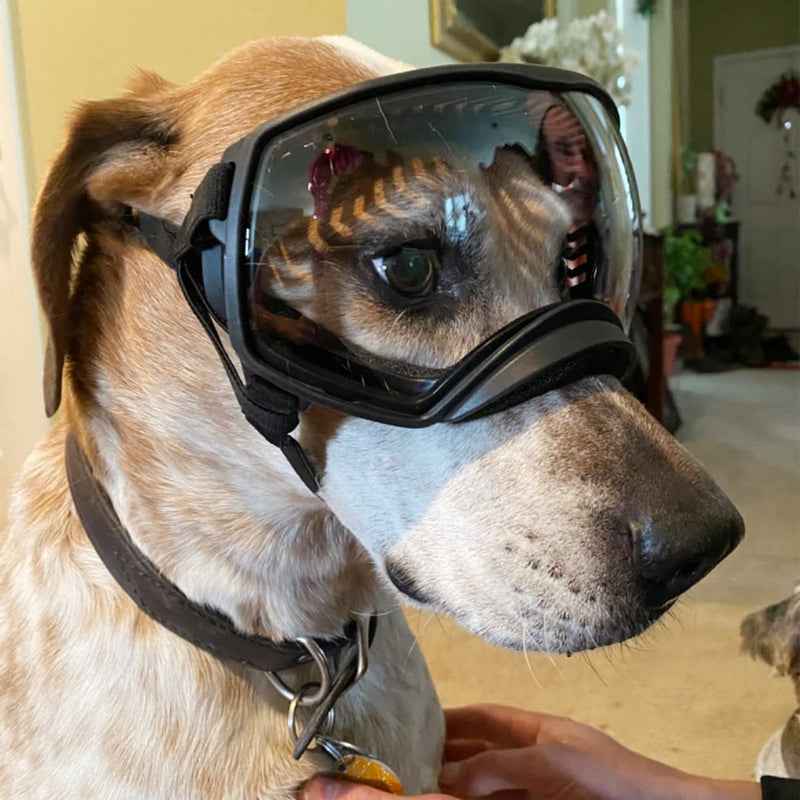 NAMSAN Dog Goggles Clear Lens for Medium-Large Breed UV Protection Dog Sunglasses Anti-Fog Windproof Transparent Lens for Outdoor Dogs Eye Safety, Black - PawsPlanet Australia