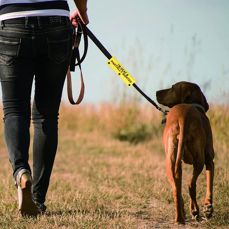 Visual Impairment and Hearing Loss Dog Leash Sleeve I'm Deaf & Partially Sighted Dog Leash Wrap Sleeve Pet Birthday Gift (I'm Deaf & Partially Sighted-YE Sleeve) I'm Deaf & Partially Sighted-YE Sleeve - PawsPlanet Australia
