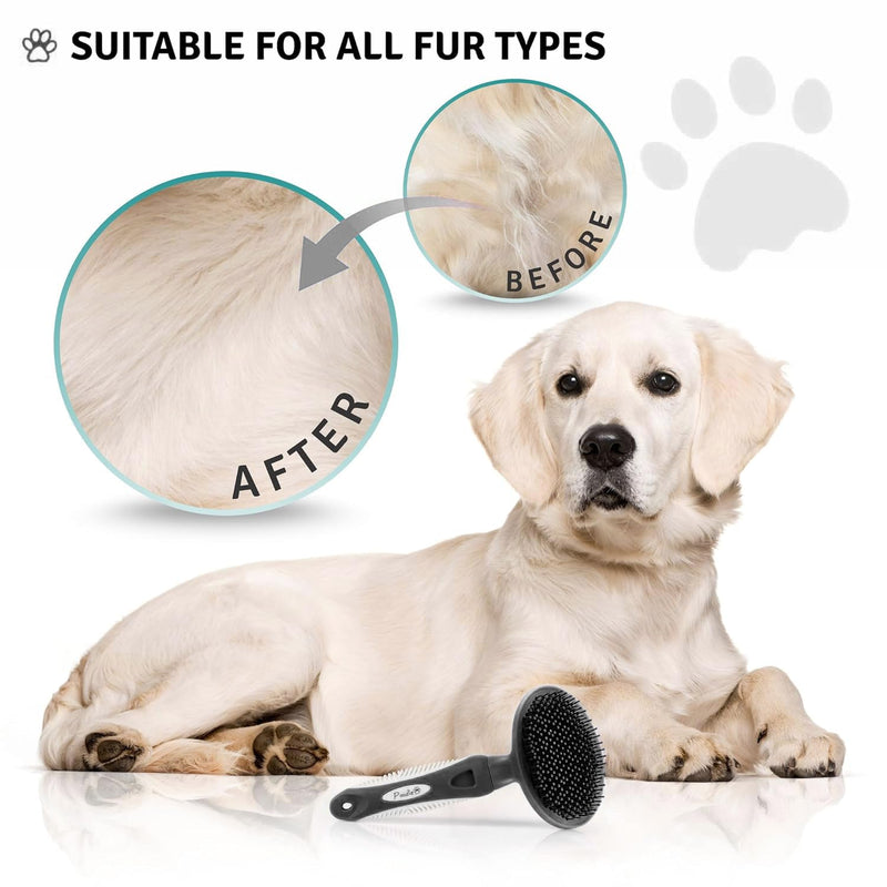 Round Bristle Pet Brush for Dogs and Cats - Soft Dog Brush for Grooming Short or Long Hair - Gentle Tool for Sensitive Skin Removes Dander, Dirt, and Detangles (Black) Black