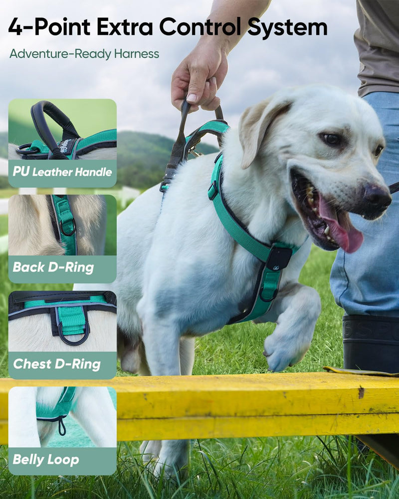 Premium Y-Shaped Dog Harness for Training & Daily Walk,No-Pull Adventure Harness with Handle & 3 Leash Hook Points,Durable Nylon (Turquoise, M (Neck 48-74cm, Chest 58-81cm)) Turquoise M (Neck 19″ - 27″, Chest 24″ - 30″) - PawsPlanet Australia