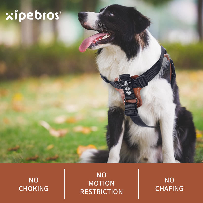 Dog Harness, no Pull Dog Harness with lesthe Pads,Ideal for Dog Walking and Training. Easy Walk Dog Harness for Small(Black, M), Medium Black - PawsPlanet Australia