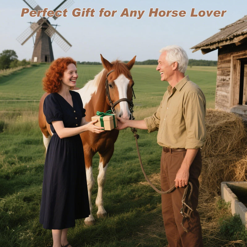 Horse Braiding Kit for Party Styling, Complete Horse Grooming Set – Essential Supplies for Dressing Up Your Horse for Events and Celebrations. - PawsPlanet Australia