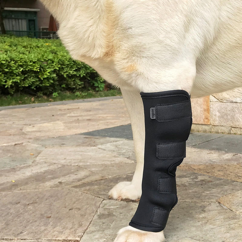 KHIRY Dog Leg Support for Rear Ankle Joints, Dog Knee Brace for Torn Rear Hip, Support for Back Healing of Dogs, Support for Arthritis Wound Arthritis (Medium)