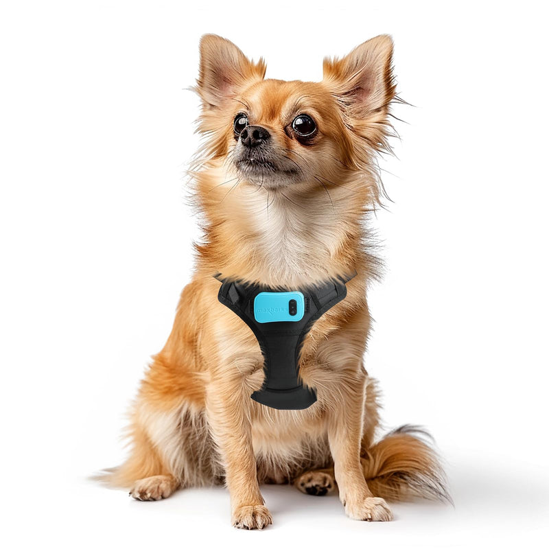 Bark Control Training Vest for Small Dogs - Rechargeable No Barking Device for Dogs - Bark Deterrent with 5 Sensitivity Levels, Adjustable Straps, D-Ring - No False Alarms or Throat Prongs Extra Small - PawsPlanet Australia