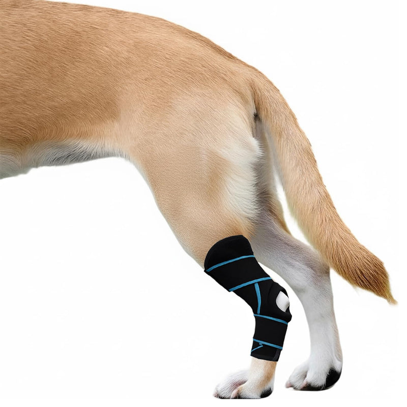 Dog Knee Brace for Back Leg, ACL Support for Large Dogs, Adjustable Dog Leg Brace for Hind Leg Injuries, Canine Joint Wrap for Arthritis Recovery (L) L