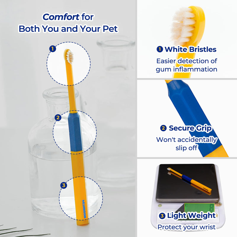 PETHROOM] Pet Dental Toothbrush for Cats and Small Dogs - Soft Bristle Deep Cleaning, Toothbrush Set for Dogs & Cats – Ultra-Fine Bristles for Precise Dental Care (Deep Point/Extra Small)