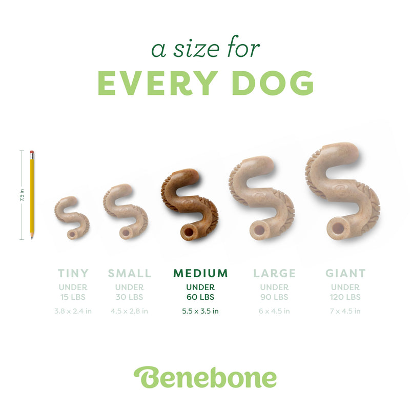 Benebone Tripe Bone Durable Dog Chew Toy for Aggressive Chewers, Real Tripe, Made in USA, Medium