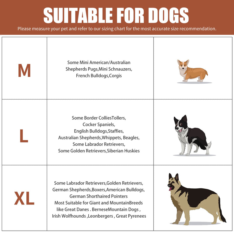 Dog Harness, no Pull Dog Harness with lesthe Pads,Ideal for Dog Walking and Training. Easy Walk Dog Harness for Small(Black, M), Medium Black - PawsPlanet Australia