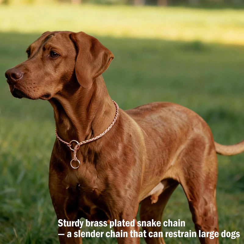 Heavy Duty Dog Choke Collar Slip Dog P Chain Snake Collar Plating Anti-Rust Dog Training Collars for Small Large Dogs Black/Gold/Silver/Rose Gold 15.5in-29.5in (17.5in, Silver) 17.5in