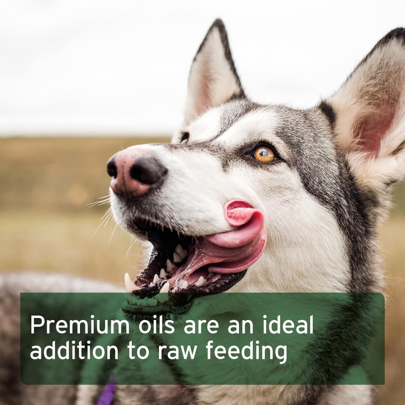 AniForte Premium Feeding Oil 500ml: BARF Raw Feeding Supplement For Dogs With Hemp, Salmon & Linseed Oil to Boost Immunity & Health