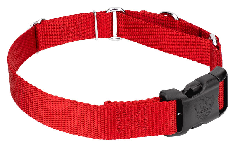 Country Brook Petz Heavy Duty Nylon Adjustable Martingale Dog Collar with Deluxe Buckle for Small Medium Large Breeds - 30+ Vibrant Color Options (5/8 Inch, Extra Small, Bright Red) Extra Small (Pack of 1) - PawsPlanet Australia