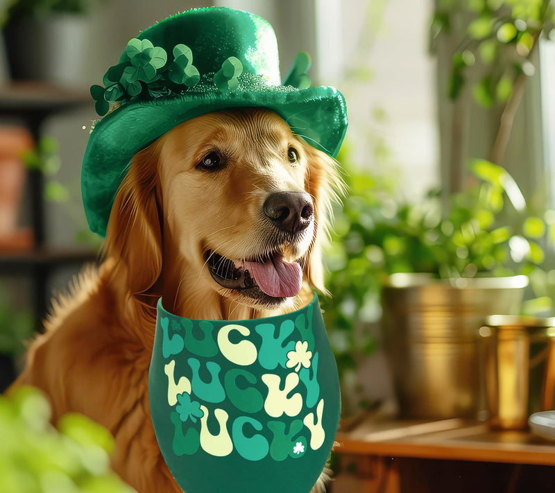 St Patrick's Day Dog Bandanas, St Patrick's Day Dog Outfits Décor Gifts, Medium Large Dog Scarf, Pack of 2. - PawsPlanet Australia
