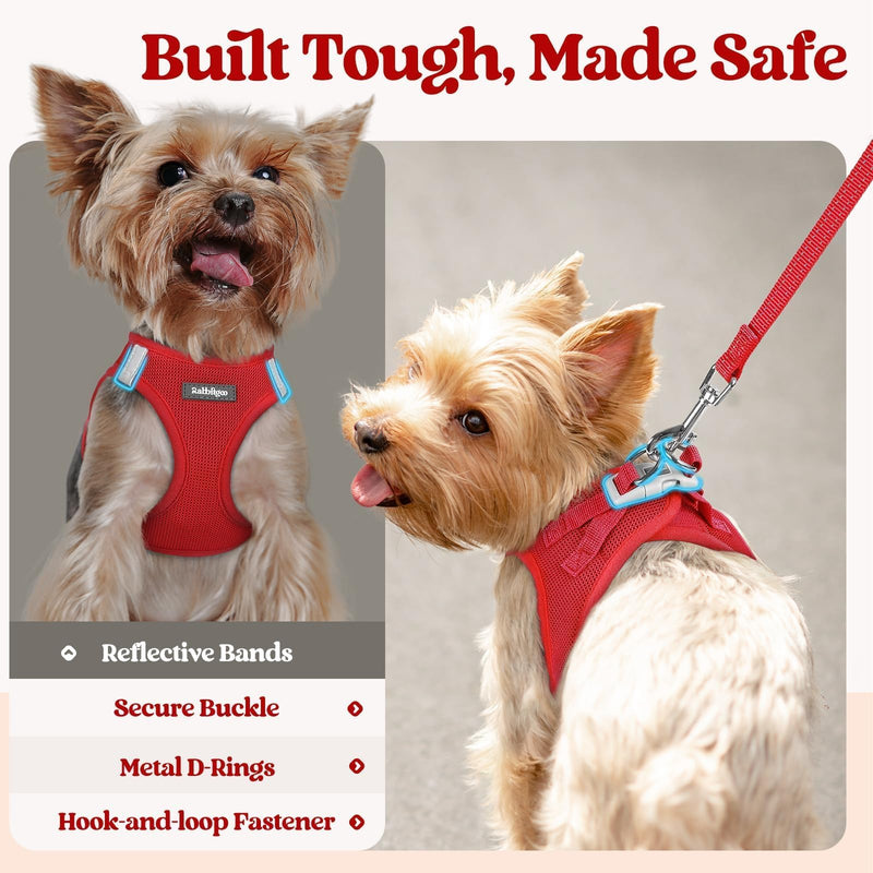 rabbitgoo Dog Harness Small Sized and Leash Set, Step in Soft Light Puppy Vest, Breathable Mesh Pet Harness, Reflective for Safe Easy Walking, Red M M (Chest: 16 - 18.5") - PawsPlanet Australia