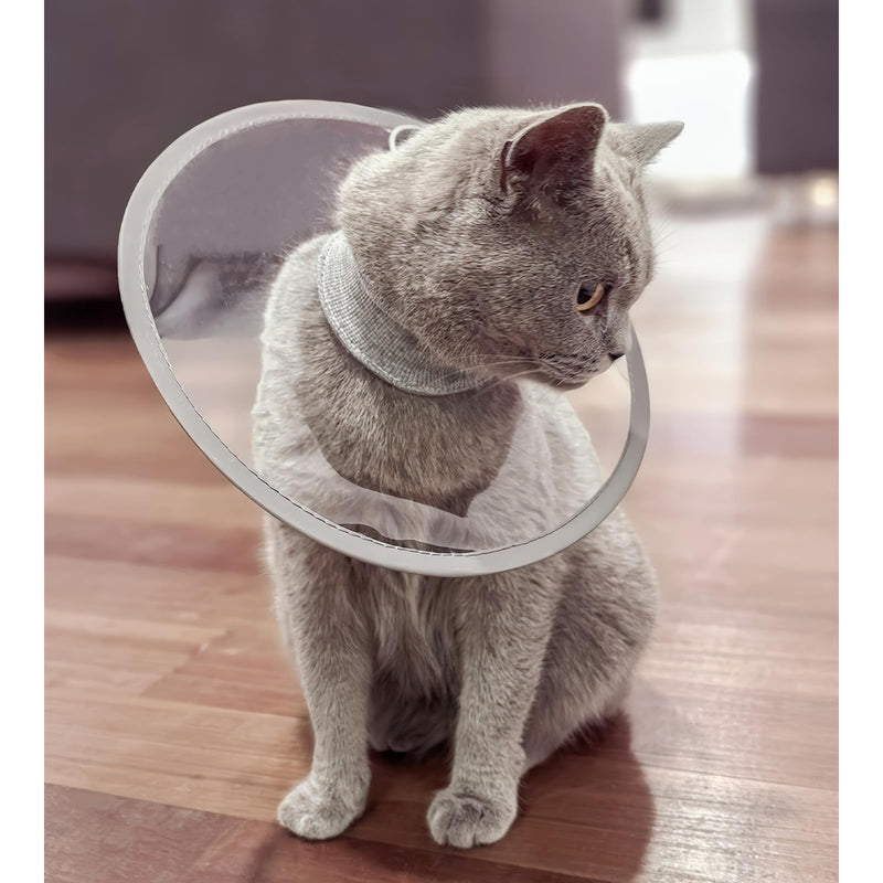 KUDES Cat Dogs Cone E Collar with Low Noise Fasteners Glow in The Dark, Transparent Cat Recovery Collar, Licking and Scratching Free Cone, Extra Soft Small Medium Dog Pet Surgery Collar High Grade Grey L (Between 11-16.5lb.) - PawsPlanet Australia