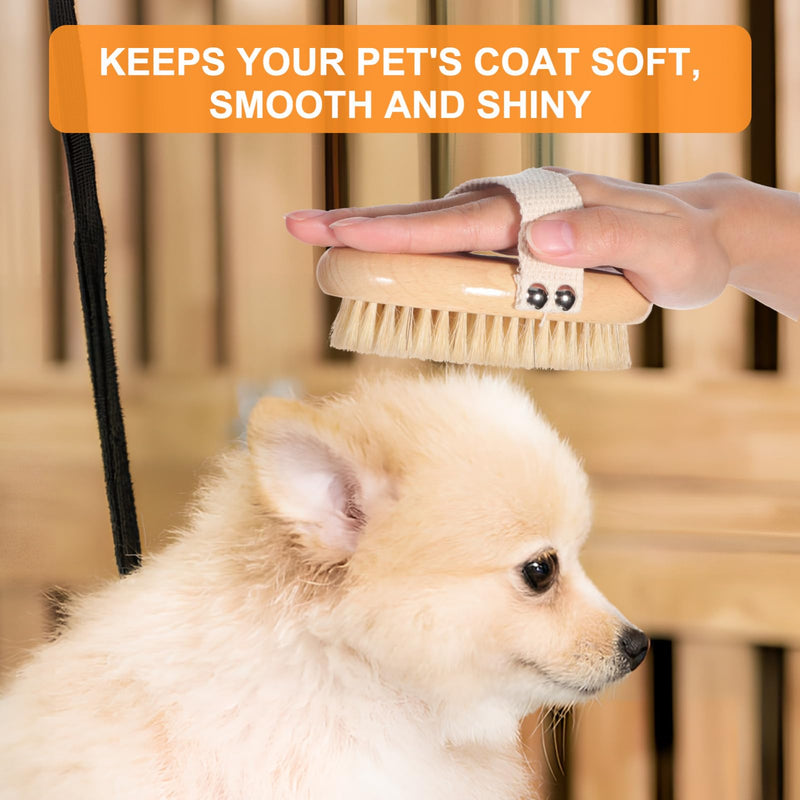 SUPVOX Short Hair Dog Brush - Pets Palm Brush with Bristles,Soft Bristle Pet Brush for Daily Grooming Cats Dogs - PawsPlanet Australia