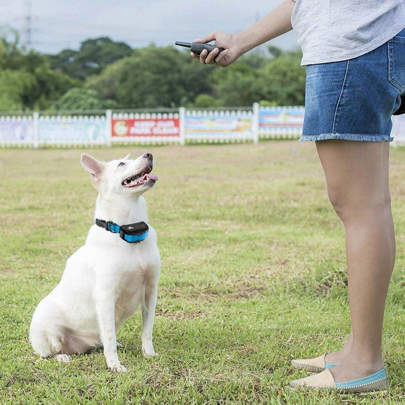 Pet Union PT0Z1 Premium Training Shock Collar for Dogs with Remote - Fully Waterproof, 4 Adjustable Training Modes - Shock, Vibration, Beep - Up to 1200ft Range Blue - PawsPlanet Australia