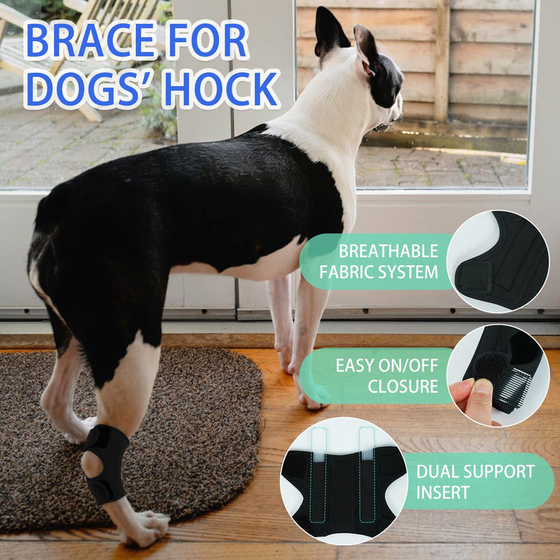 MIGOHI Dog Knee Brace for Back Leg, Black, M | Lightweight, ACL & Arthritis Support, Hock Joint Support, Senior Dogs Hind Leg Weakness, Post-Surgery Recovery Medium