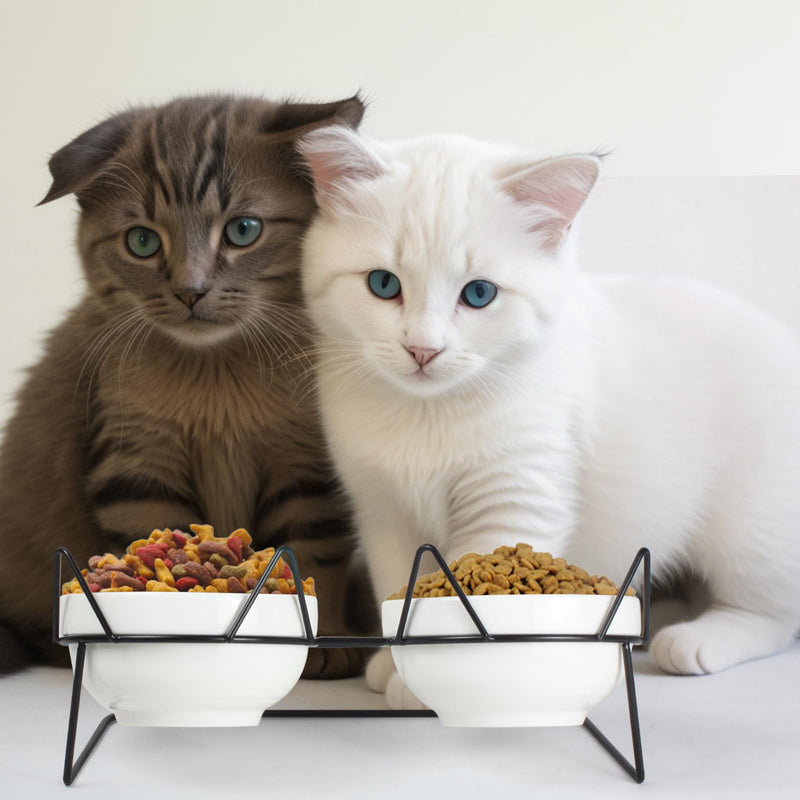 Elevated Tilted Cat Bowls for Indoor Cats，Raised Ceramic Cat Bowl Elevated 15°,Pet Feeding Bowls for Food and Water Anti Vomiting Bowl(Double Ceramics Bowls and Tilt Shelf) Suitable for All Cat Sizes - PawsPlanet Australia