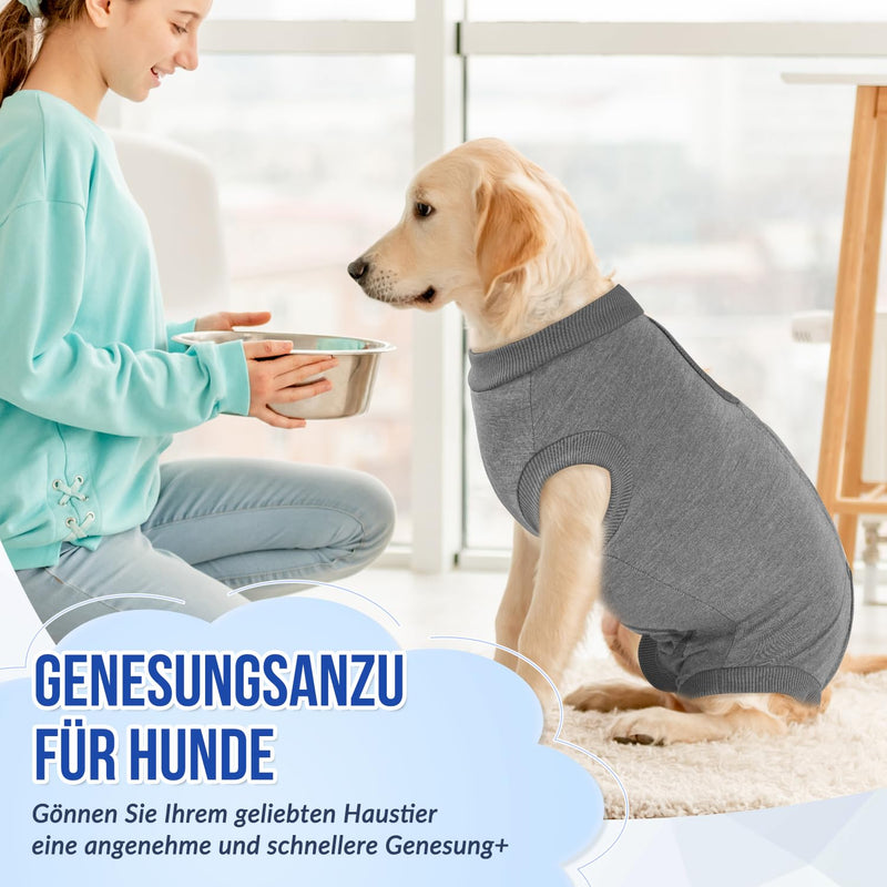 Eyein Dog Bodysuit After Op, Breathable and Comfortable Onesie for Dogs with Adjustable Fastening, Wound Protection Suits for Dogs to Prevent Licking - E-Collar Alternative (Grey, M) M (Chest circumference: 38-45cm) gray