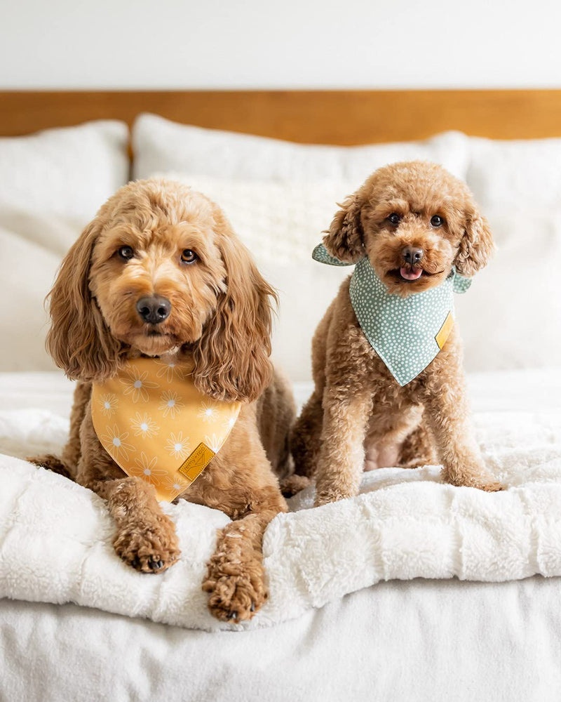 Remy+Roo Large Spring Dog Bandanas - 4 Pack Katherine Set | Premium Durable Adjustable Polyester Fabric Dog Scarfs | Patented Shape Girl Dog Bandana, Trendy Pattrens, Floral Dog Bandana - PawsPlanet Australia