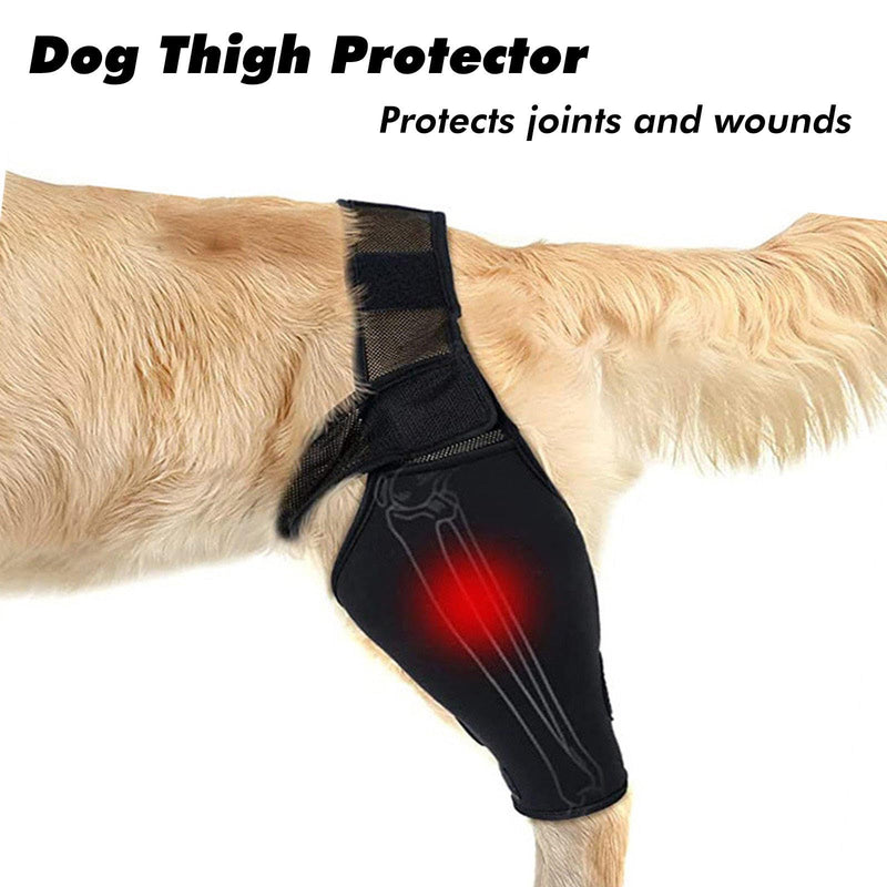 Dog Acl Brace Hind Leg,Dog Knee Brace for Torn Acl Hind Leg (Universal Front and Rear Legs),Adjustable Dog Knee Brace for Acl Tears, Hip Dysplasia, Osteoarthritis and Ligament Injuries (L) L - PawsPlanet Australia