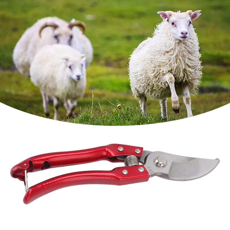 Walfront Goat Hoof Trimmers Nonslip, Sheep Hoof Shears Goat Hoof Trimmers Stainless Steel Animal Nail Scissors Ergonomic Design Cut Multifunctional for Pig Trotter (Black) - PawsPlanet Australia