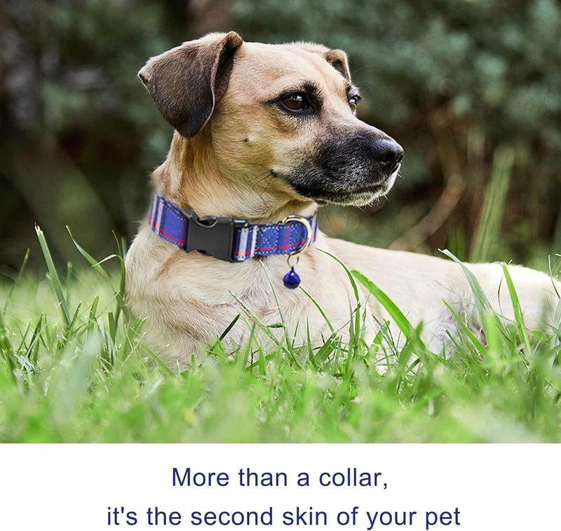 Cute Plaid Dog Collar Harness and Leash with Safety Buckle - Adjustable and No Pull Comfortable Dog Collars for Small Puppy, Stylish Durable Gift for Boy Girl Pets S blue-02