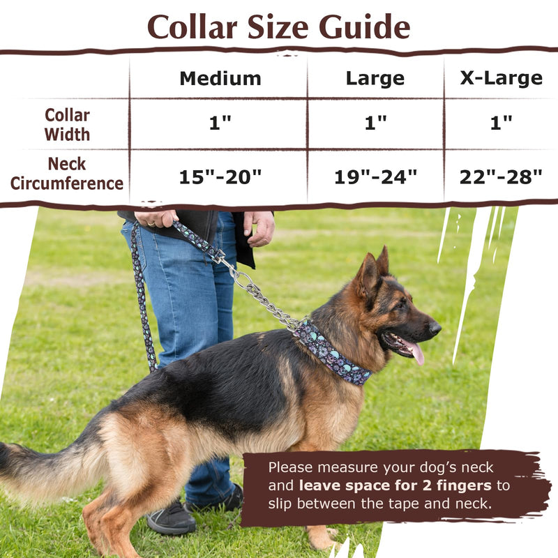 Martingale Collar for Dogs with Nylon & Steel Chain Limited Cinch Design, No Choke Dog Collar with Pink Flower Design, Adjustable No Pull Dog Collar, Great for Whippets, Greyhounds and More (M) 2 M