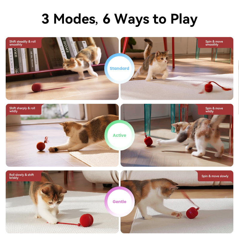 Cheerble Interactive Cat Toys for Indoor Cats - Wicked Ball Duo 2 Automatic Cat Toy with Dual Interchangeable Shells, Electronic Pet Toy with Bird Chirping Sounds, Rolling Cat Toy for Kittens, Red - PawsPlanet Australia