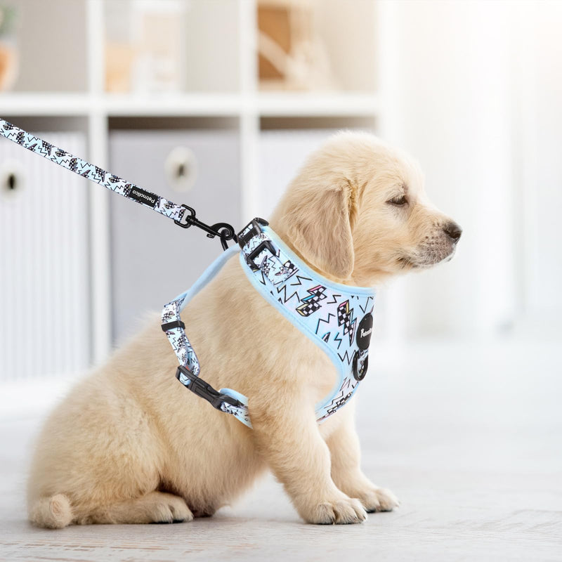 Petmolico Dog Harness and Leash Set Soft Mesh Small Dog Harnesses Vest No Pull Dog Vest Puppy Harness and Leash Set Training(Blue, Medium) - PawsPlanet Australia