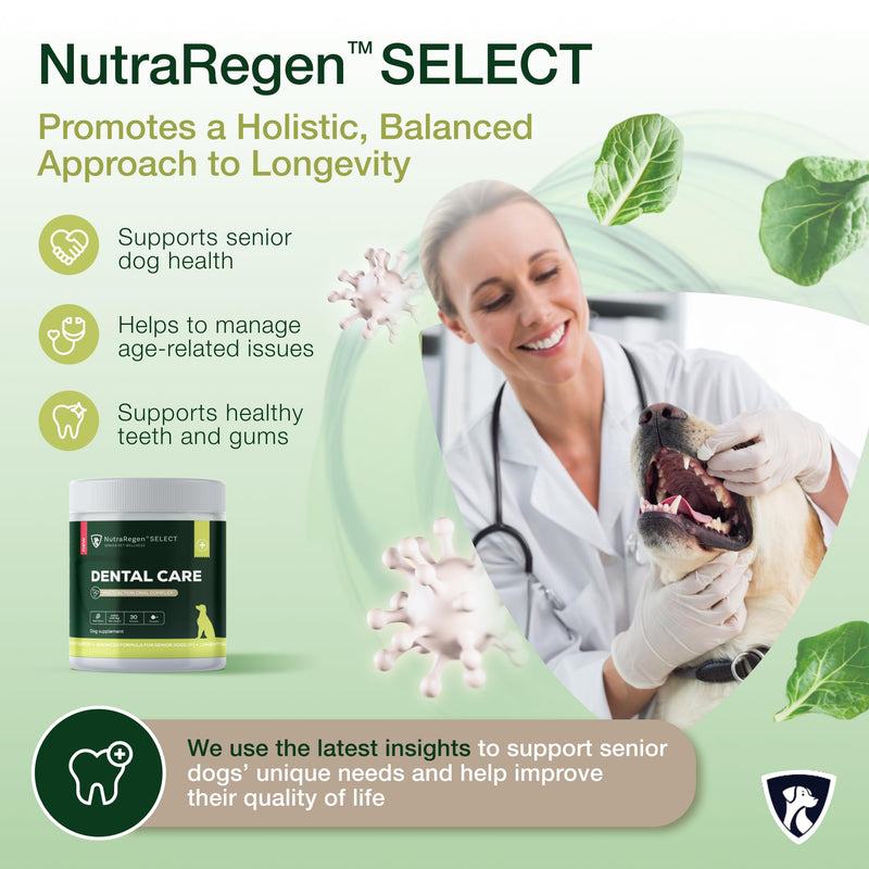 Nutraregen Senior Dog Dental Powder 30 Scoops | Beef Flavored Dog Breath Freshener with Probiotic Blend for Oral & Gum Health | Pet Dental Powder Helps Manage Plaque & Tartar Buildup | 4.6 Oz - PawsPlanet Australia