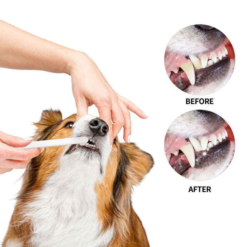 Newday Small Dog & Cat Toothbrush 5 Set, Micro Nano Bristles to Clean pet Teeth Toothbrushes, Puppy Dogs Pet Tooth Cleaning Kit with Storage Box（White - PawsPlanet Australia